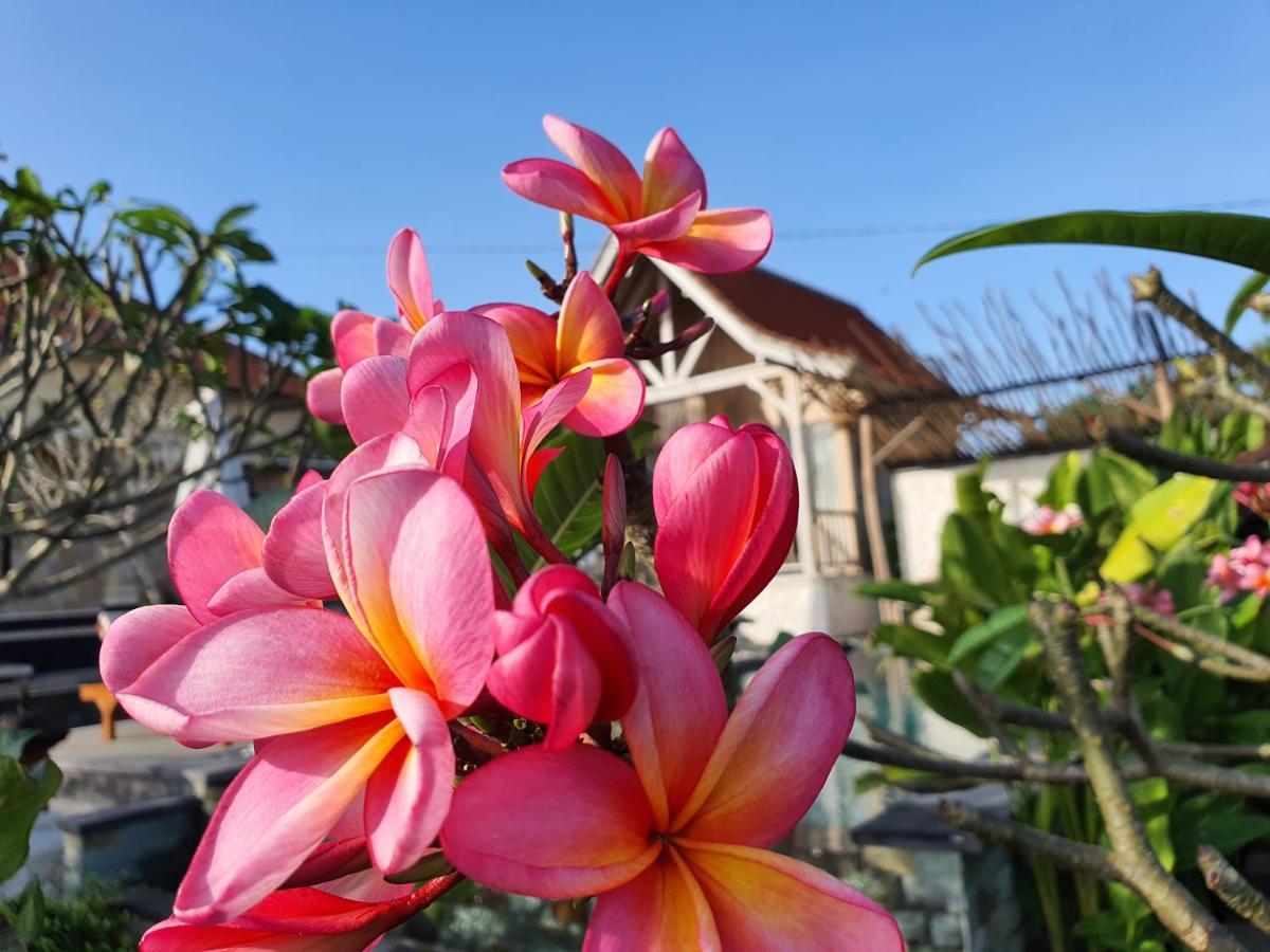 Uluwatu De Jantux Villa מראה חיצוני תמונה
